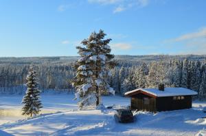 特吕西尔特吕西尔黑特格兰德山林小屋的雪上的小小屋,前面有车