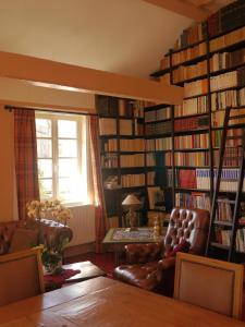 蒂比维莱尔Le Puits D'Angle的客厅里摆放着许多书籍