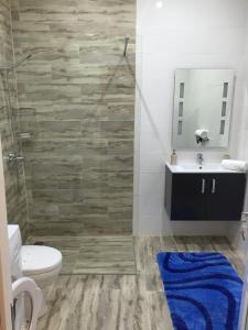 森格莱阿Senglea Apartments的一间带卫生间、水槽和镜子的浴室