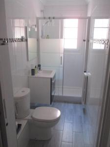 尼斯尼斯老城公寓的浴室配有卫生间、盥洗盆和淋浴。