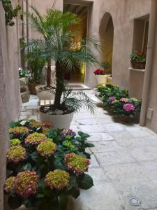 特拉帕尼秘密住宿加早餐旅馆的一座庭院,里面种满了鲜花和棕榈树