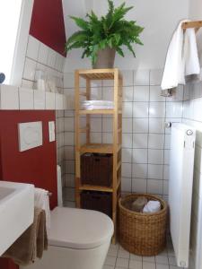 特拉弗明德Wohnen&Wellness Kurgartenstrasse的一间带卫生间的浴室和架子上的植物