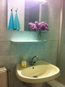 凯奇凯梅特Park Vendégház的浴室设有水槽、镜子和紫色的鲜花