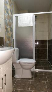 科尼亚Mevlana Palace的浴室配有卫生间、盥洗盆和淋浴。