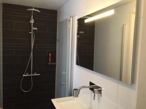 阿姆斯特丹罗西公寓的浴室配有盥洗盆和带镜子的淋浴