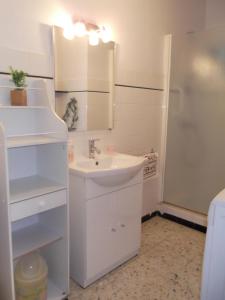 萨勒斯勒沙托Chouette coquette的白色的浴室设有水槽和淋浴。