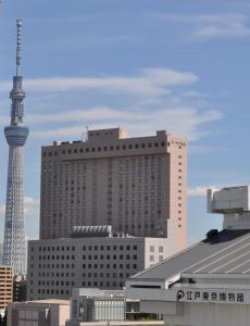 东京两国东京第一酒店的城市景观,塔楼背景