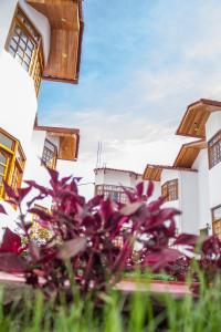 瓦拉斯Hotel & Bungalows Villa Valencia的前方有紫色花的建筑群