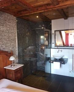 绍普夫海姆Historisches Genusshotel Löwen的一间带玻璃淋浴和水槽的浴室