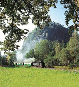 OlbersdorfBB酒店的沿着山路行驶的火车