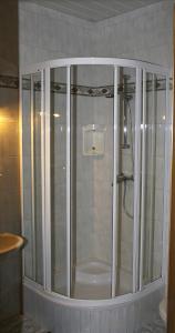Eisentratten嘎斯霍夫波斯特酒店的浴室设有玻璃门淋浴