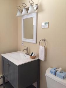 东多塞特Aerie Inn of Vermont的一间带水槽、镜子和卫生间的浴室