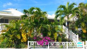 圣安娜Antilles Liberte的棕榈树和鲜花房子前面的白色围栏