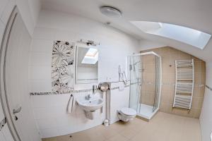 捷克布杰约维采古巴酒吧旅馆的浴室配有盥洗盆、卫生间和淋浴。