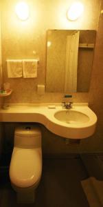 武汉锦江之星武汉武昌火车站店的一间带卫生间、水槽和镜子的浴室