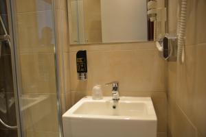 汉堡哈伯格老城酒店的一间带水槽和淋浴的浴室