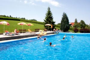 Strass im AttergauFerienhotel Hofer superior的一群人在游泳池游泳
