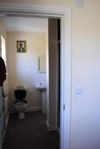 阿伯里斯特威斯Bro Dafydd的一间带卫生间和水槽的浴室