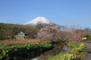 忍野村叶娜旅馆的相册照片