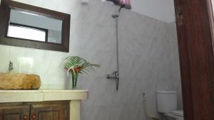 吉利特拉旺安瑞赛尔民宿的浴室配有盥洗盆和带镜子的淋浴