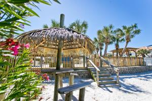 彭萨科拉海滩冲浪和沙滩酒店的棕榈树海滩上的长凳和遮阳伞