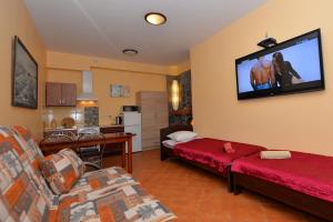 卡尔克尔Karkle Beach Apartments的客厅配有沙发和墙上的电视