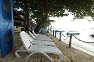 停泊岛巴拉特停泊岛木屋的海滩上一排白色椅子