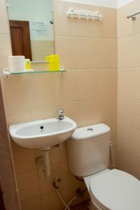 日惹安德烈住宿加早餐旅馆的一间带卫生间和水槽的浴室