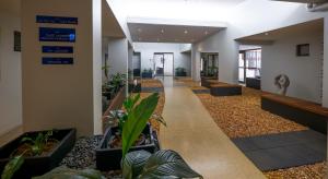 布里斯班彻姆赛德精华公寓式酒店的建筑里种植植物的走廊