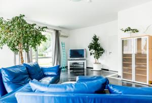 莱茵河畔威尔Dreamapartment La Vigna Suite mit eigenem Indoorpool & Sauna - Weil am Rhein的客厅配有蓝色的沙发和电视