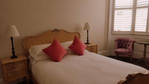 布莱顿霍夫布赖顿红蓝酒店的一间卧室配有一张带红色枕头的床和一把椅子
