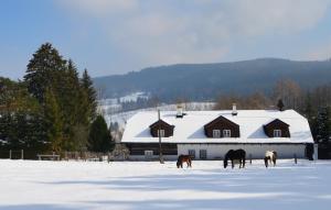 ZdíkovApartmány U Šakala的三匹马在谷仓前的雪地里放牧