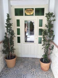 格拉纳达苏里塔宾馆的两个盆栽植物坐在门前
