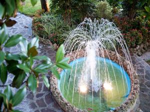 圣焦万尼泰亚蒂诺德拉纳拉餐饮酒店的花园中央的喷泉