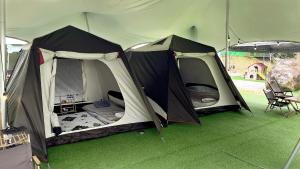 iGo Glamz 爱狗露营 Pet Friendly Glamping