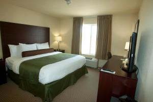 LangdonCobblestone Inn & Suites - Langdon的配有一张床和一台平面电视的酒店客房