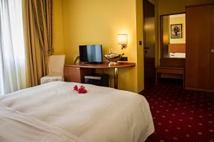 韦尔切利Hotel Cinzia Ristorante Christian e Manuel的酒店客房配有一张床、一张书桌和一台电视。