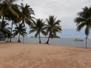 京那律兰卡莎巴斯海滩度假村的棕榈树海滩和水中小船
