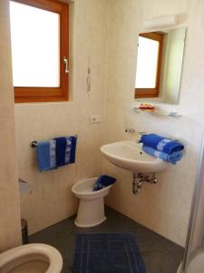 圣维吉利奥Colhof的一间带水槽、卫生间和镜子的浴室