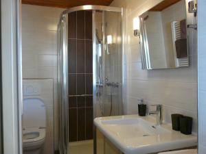 博登迈斯兰德斯迈内奥斯泽特旅馆的一间带水槽、淋浴和卫生间的浴室