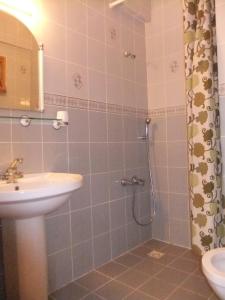 费特希耶图卢瓦别墅的带淋浴、盥洗盆和卫生间的浴室
