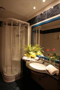 格拉迪斯卡迪松佐艾尔庞特酒店的一间带水槽和淋浴的浴室