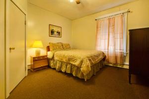 Margaretville麦恩套房酒店的一间卧室配有床、灯和窗户