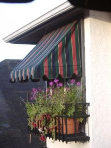 维多利亚西赛尔加特平房和套房住宿加早餐旅馆的花窗盒,带条纹遮篷