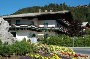 费尔兹姆斯里德尔阿尔卑斯山别墅酒店的相册照片