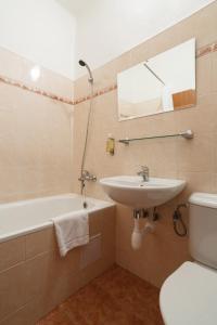 俄斯特拉发弗洛妮卡酒店的一间带水槽、浴缸和卫生间的浴室