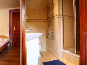 MesznaChata na Groniu的一间带水槽和卫生间的浴室