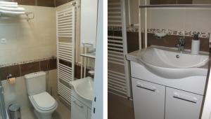 普利特维采湖亚历克斯公寓 的浴室的两张照片,配有卫生间和水槽