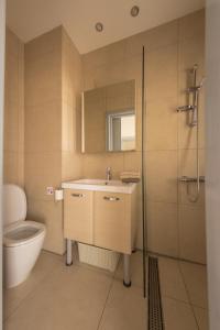 尼科西亚Olivier Residence的一间带水槽、淋浴和卫生间的浴室