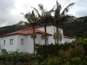 韦拉斯Tropical Fruit Garden的两棵棕榈树前的白色房子
